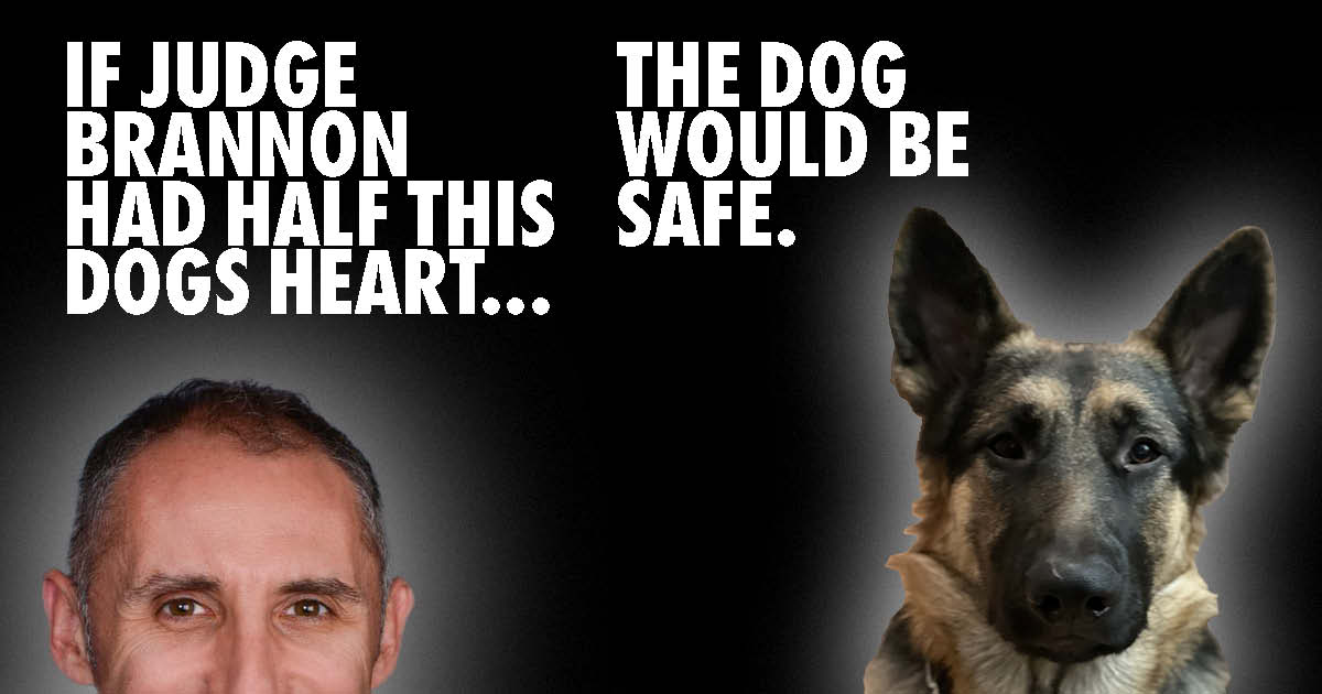 Montgomery County Probate Judge David Brannon shouldn't be trusted with a dog- never mind people.