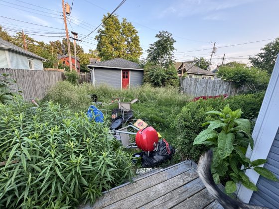 The backyard of the mentally incompetent veteran